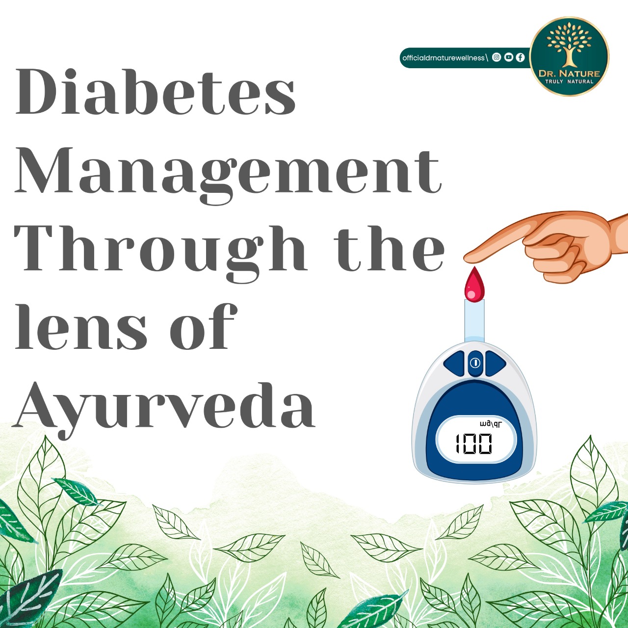 Diabetes Management through the lens of Ayurveda